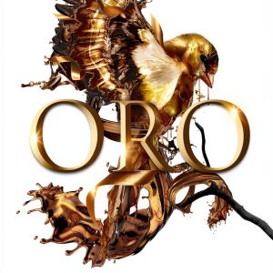 La Prisionera de Oro eBook by ROCA EDITORIAL Book 5 Romantic Fantasy-0